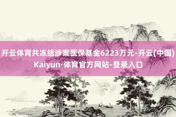 开云体育共冻结涉案医保基金6223万元-开云(中国)Kaiyun·体育官方网站-登录入口